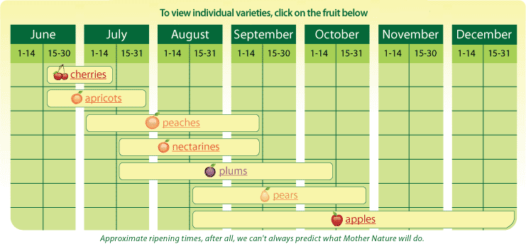 Varieties of fruit that Boyer Nurseries and Orchards grows